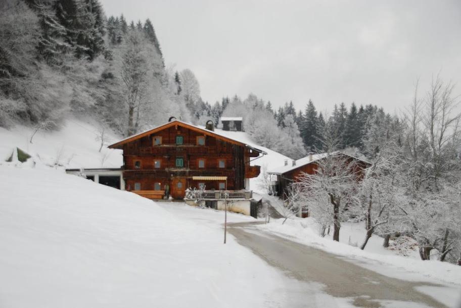 Haus Dengg Apartment Zellberg Bagian luar foto